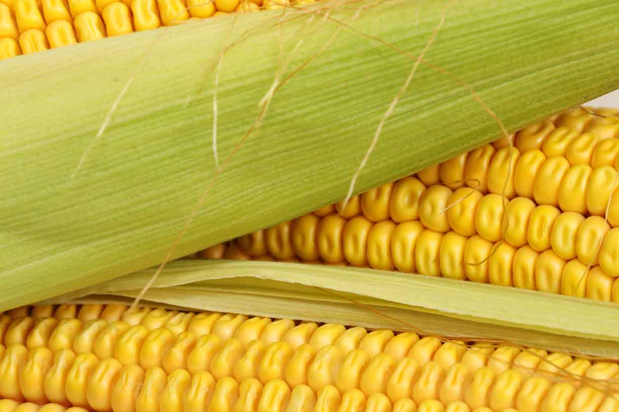 Corn