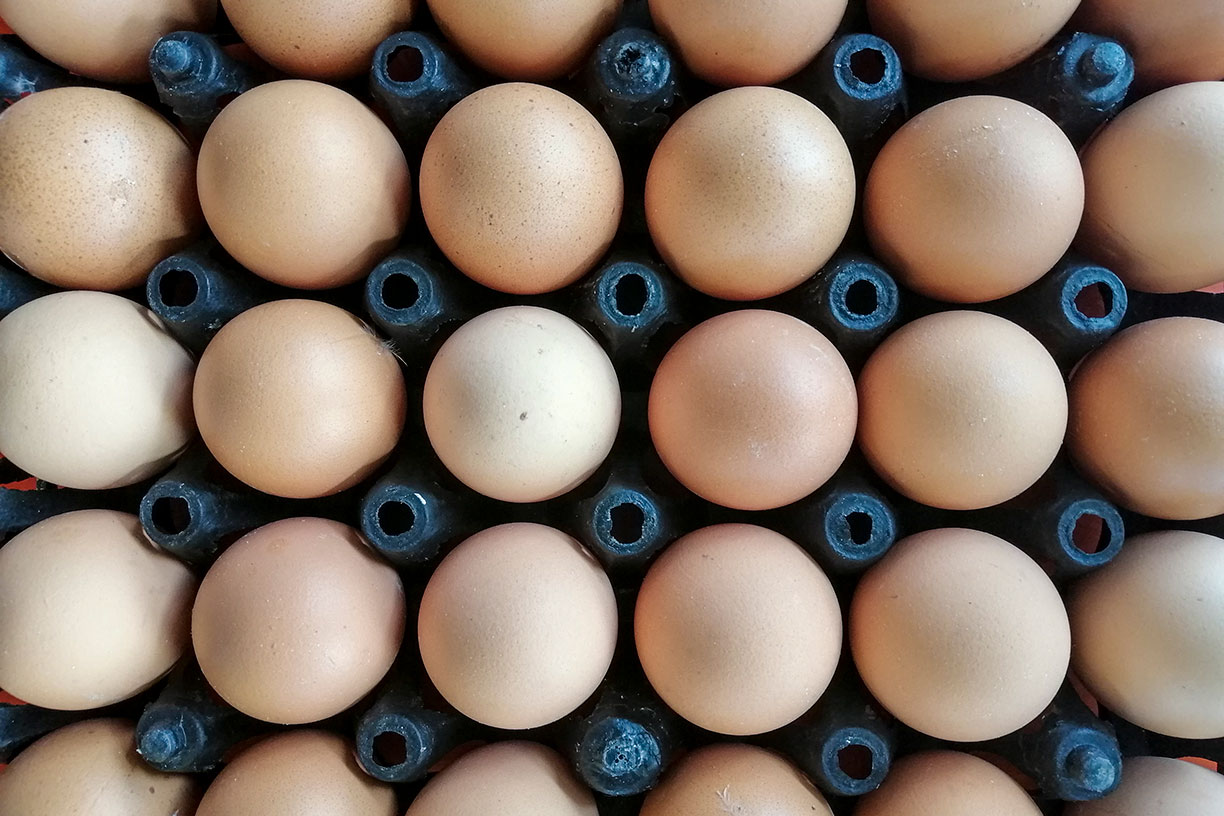 Eggs