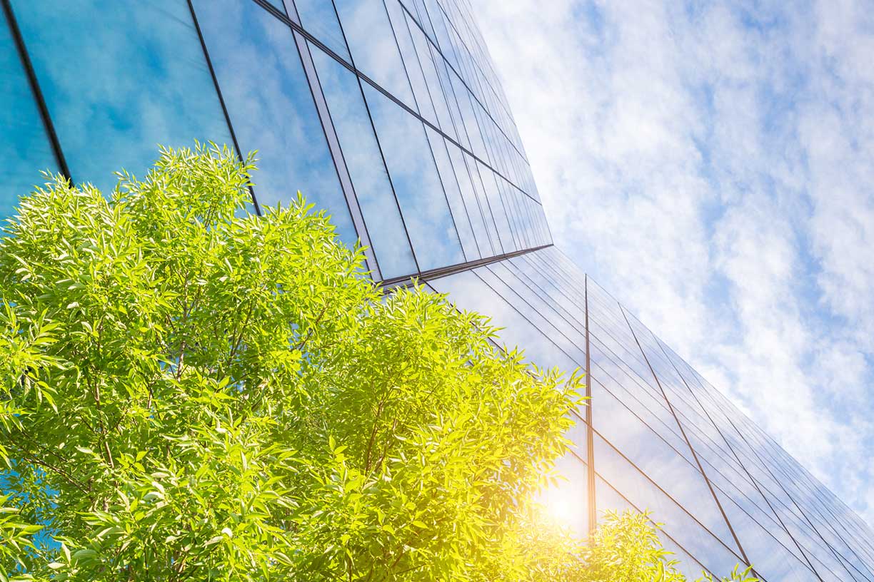 building with tree view from below