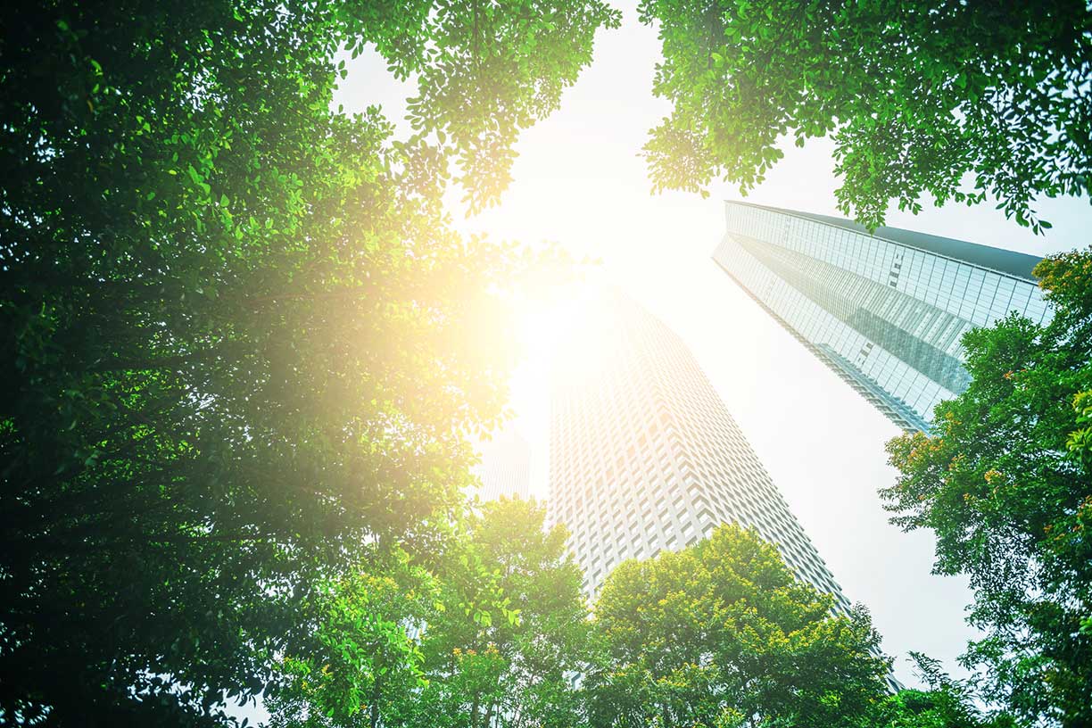building through green trees with sun glare