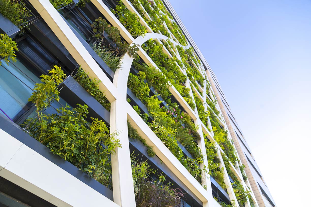 Building side view with green plants in boxes