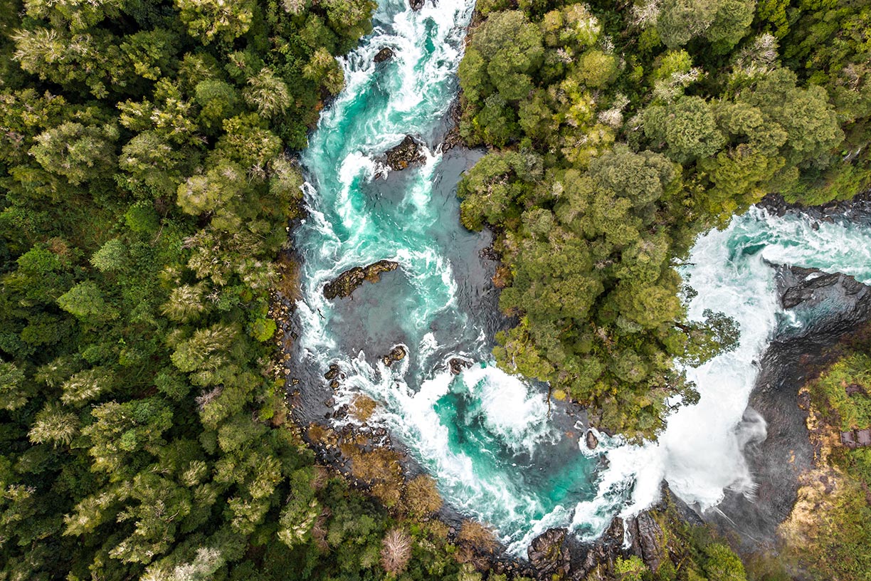 Aerial view of river through trees