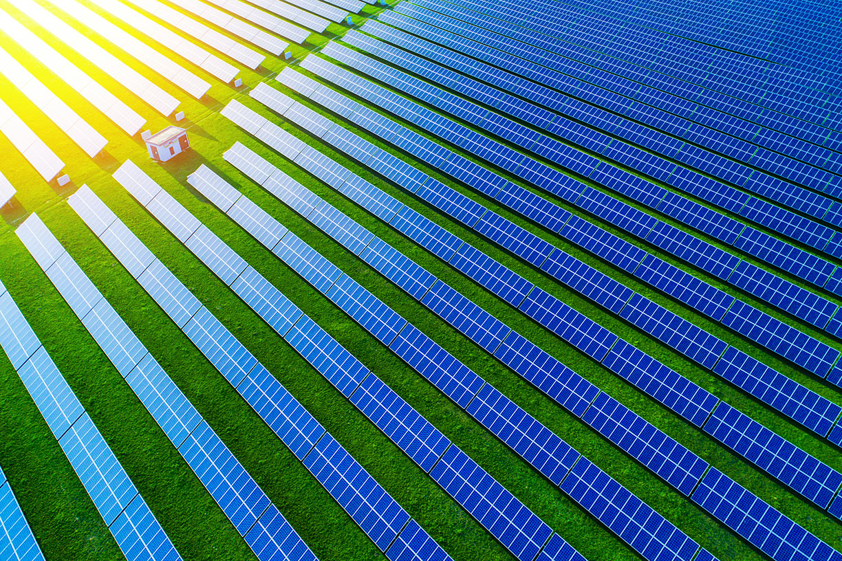 rows of solar panels