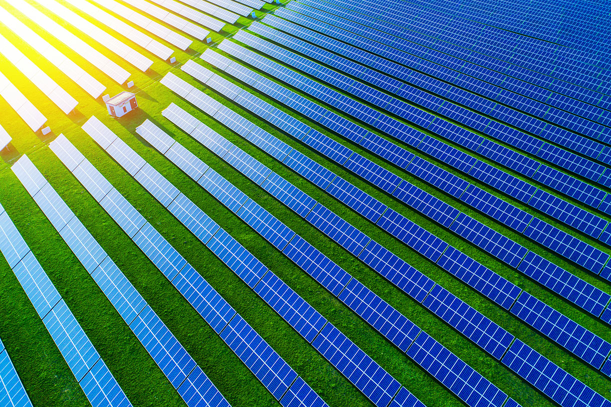 Solar panels in field