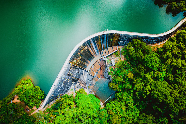 Aerial dam with trees