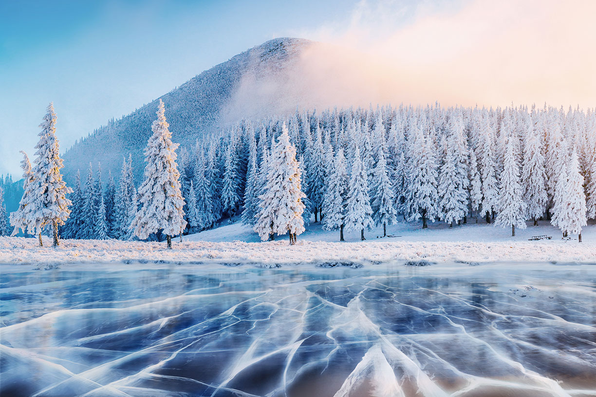 Snowy trees on mountain near frozen lake