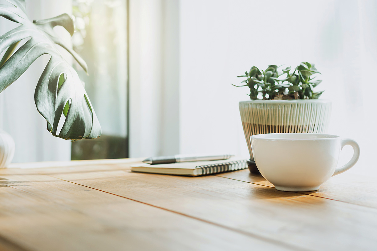 Coffee and Plant