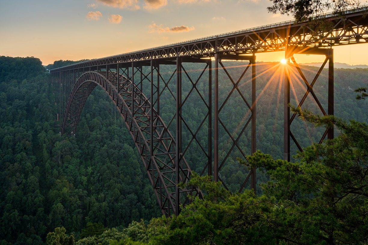 Bridge over trees at sunset