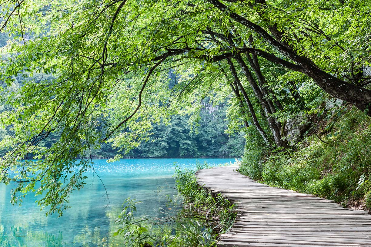 Peaceful path along blue water under trees