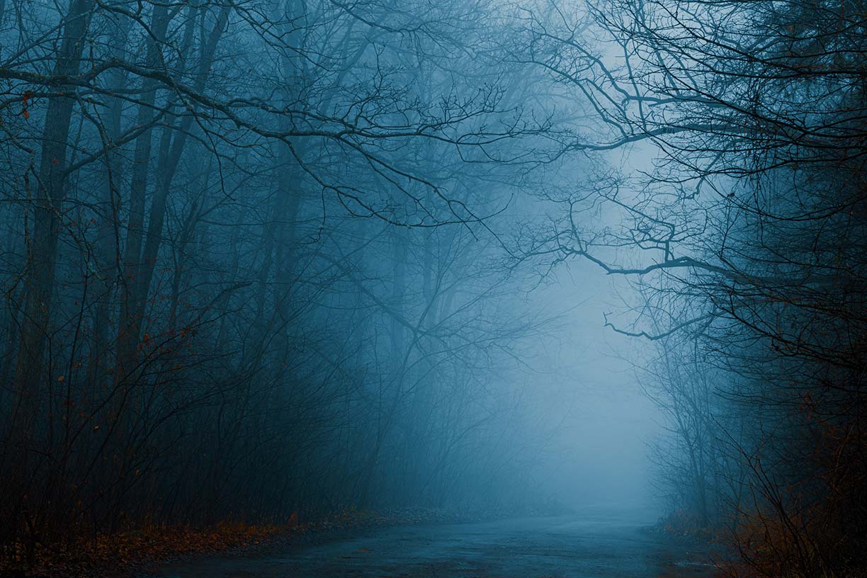 The foggy road through the autumn forest