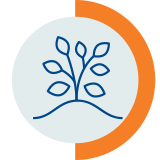 Plant growth icon Plant icon