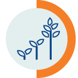 Growing tree icon